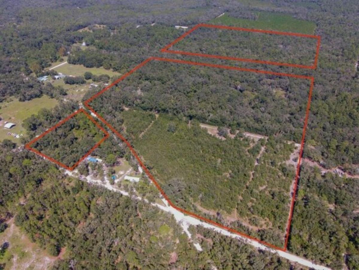 Picture of Residential Land For Sale in Branford, Florida, United States