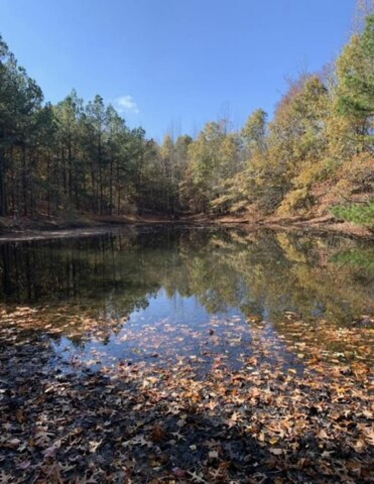 Picture of Residential Land For Sale in Nebo, Kentucky, United States