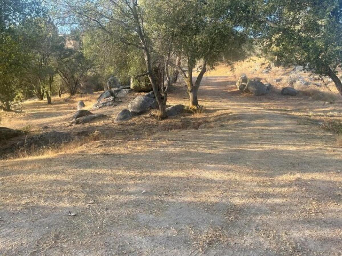 Picture of Residential Land For Sale in Coarsegold, California, United States