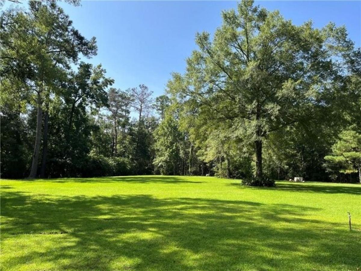 Picture of Residential Land For Sale in Abita Springs, Louisiana, United States