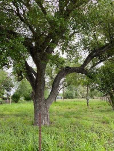 Residential Land For Sale in Alice, Texas