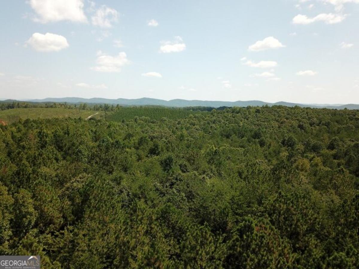 Picture of Residential Land For Sale in Gaylesville, Alabama, United States