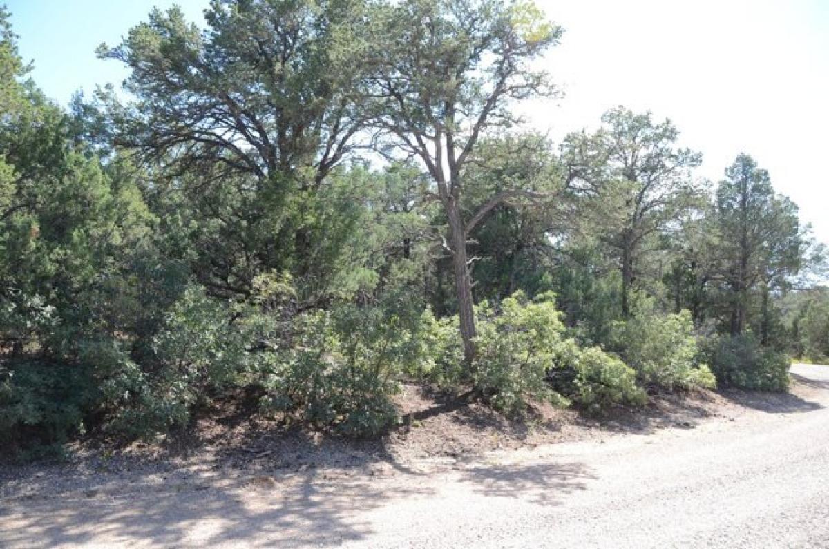 Picture of Residential Land For Sale in Tijeras, New Mexico, United States