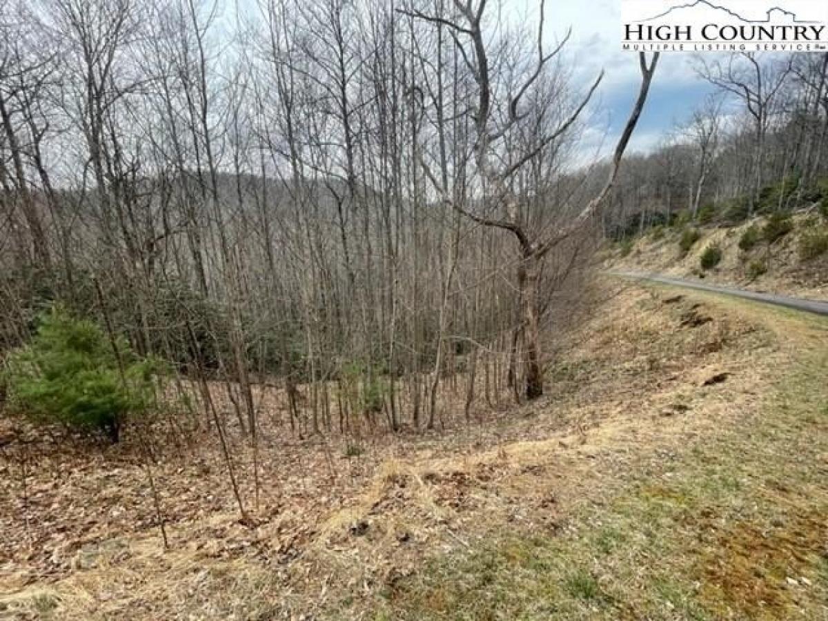 Picture of Residential Land For Sale in Boone, North Carolina, United States