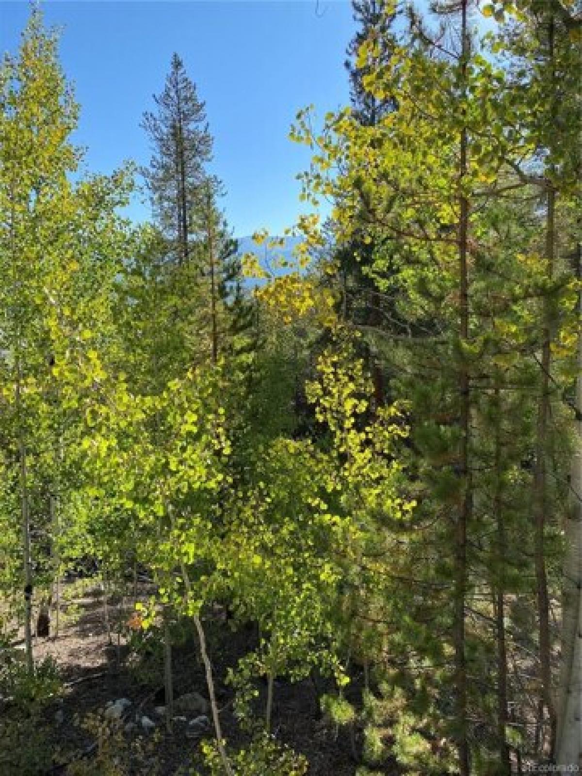 Picture of Residential Land For Sale in Twin Lakes, Colorado, United States