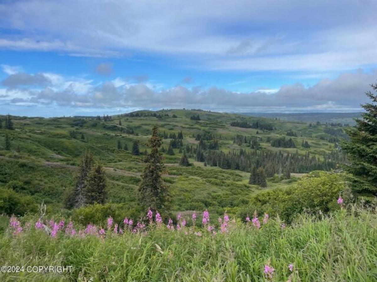 Picture of Residential Land For Sale in Anchor Point, Alaska, United States