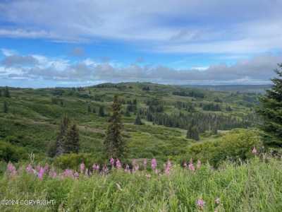 Residential Land For Sale in Anchor Point, Alaska