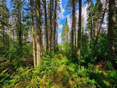 Residential Land For Sale in Cabot, Vermont