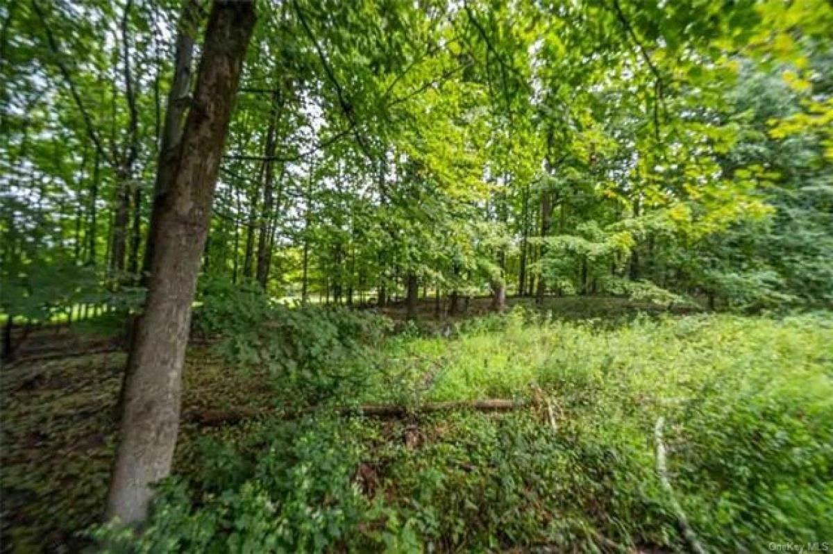 Picture of Residential Land For Sale in Monroe, New York, United States