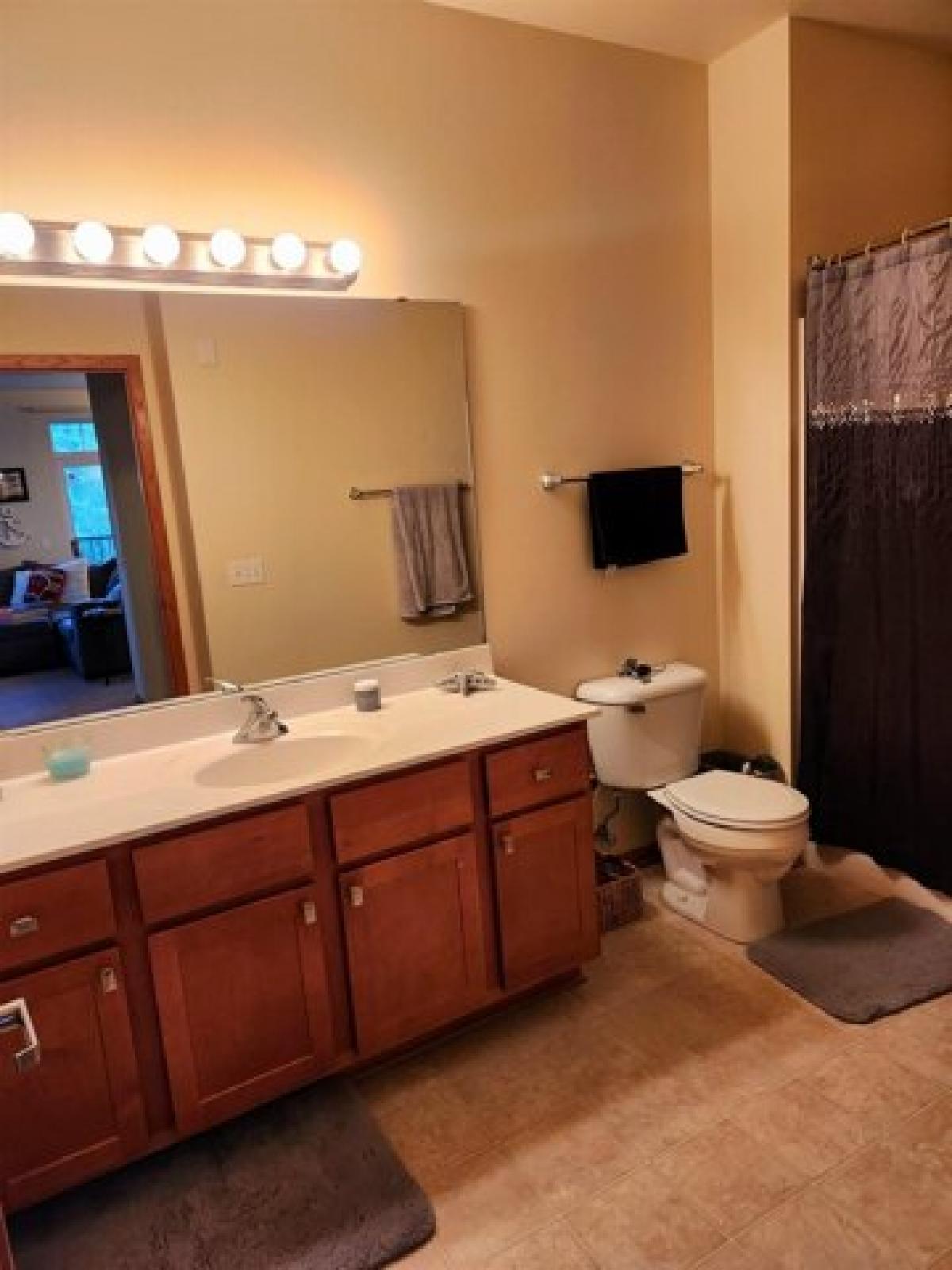 Picture of Apartment For Rent in Madison, Wisconsin, United States