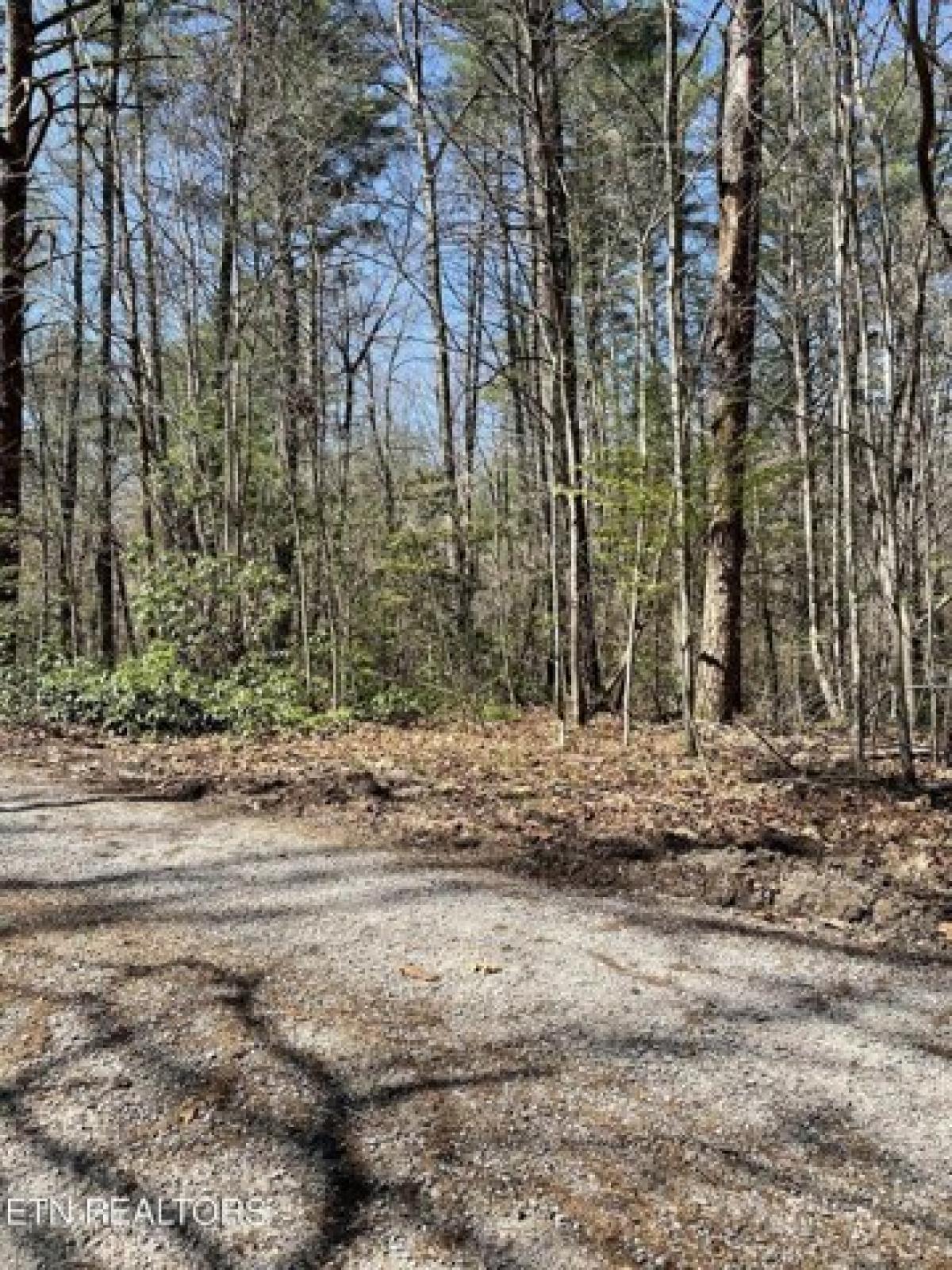 Picture of Residential Land For Sale in Crossville, Tennessee, United States