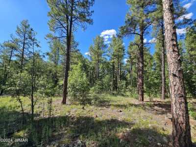 Residential Land For Sale in Lakeside, Arizona