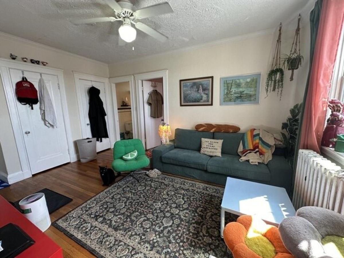 Picture of Apartment For Rent in Medford, Massachusetts, United States