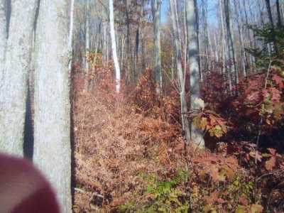 Residential Land For Sale in Saint Helen, Michigan