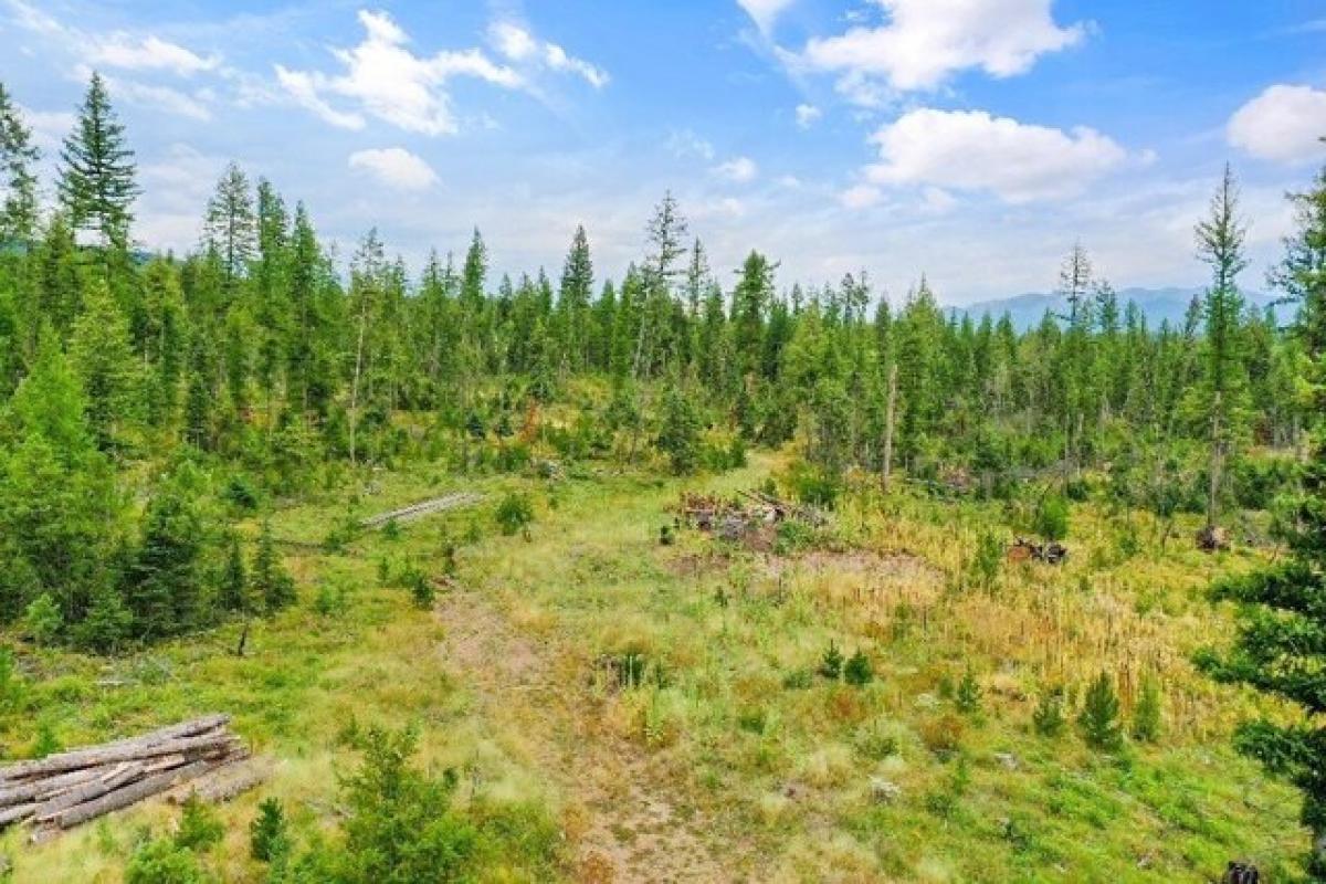 Picture of Residential Land For Sale in Columbia Falls, Montana, United States