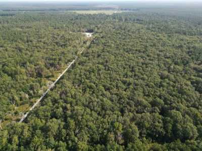 Residential Land For Sale in Kountze, Texas