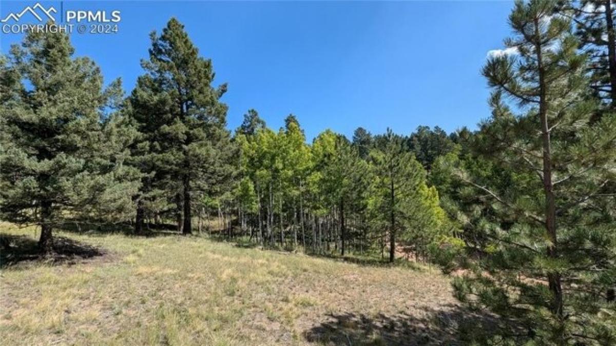 Picture of Residential Land For Sale in Florissant, Colorado, United States