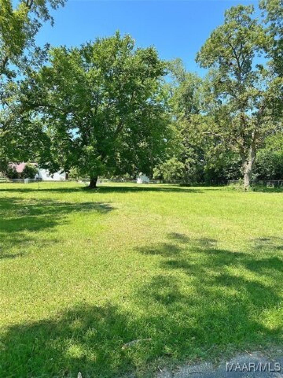 Picture of Residential Land For Sale in Midland City, Alabama, United States