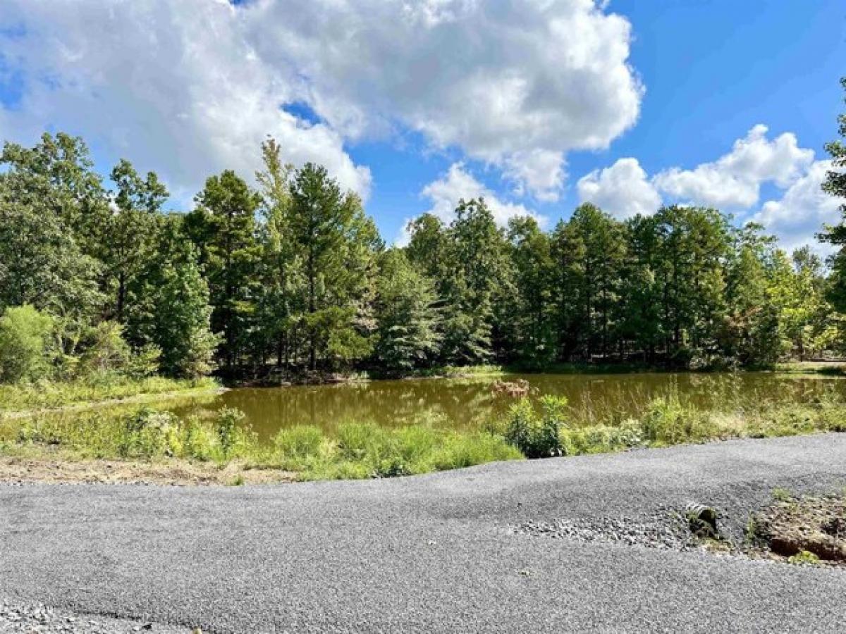 Picture of Home For Sale in Maumelle, Arkansas, United States