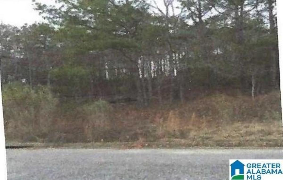 Picture of Residential Land For Sale in Bessemer, Alabama, United States