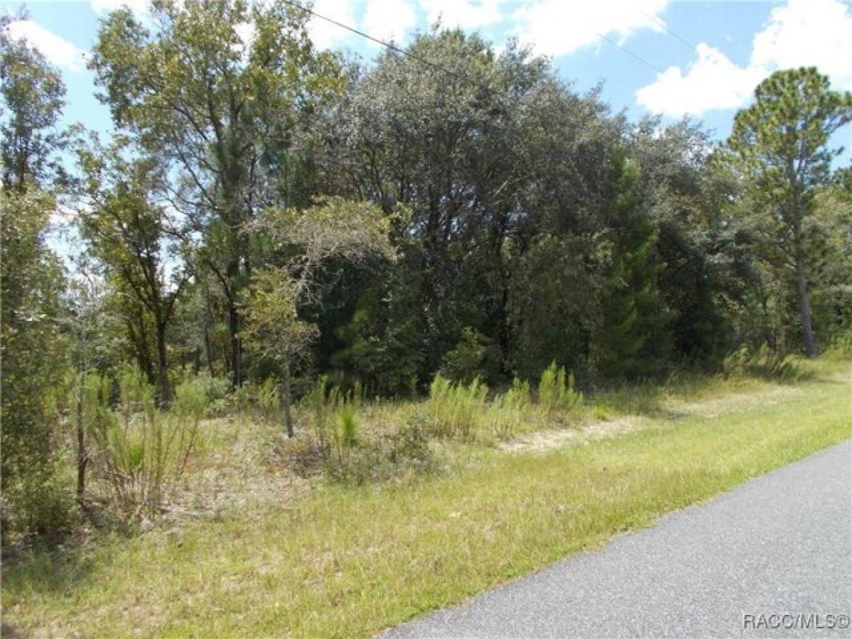 Picture of Residential Land For Sale in Citrus Springs, Florida, United States