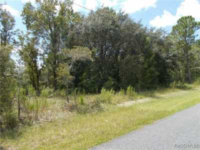 Residential Land For Sale in Citrus Springs, Florida