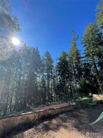 Residential Land For Sale in Lilliwaup, Washington