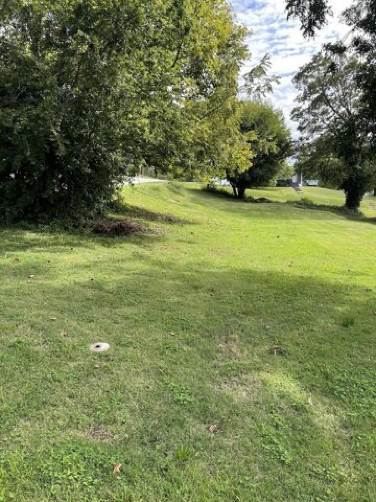 Picture of Residential Land For Sale in Pierce City, Missouri, United States