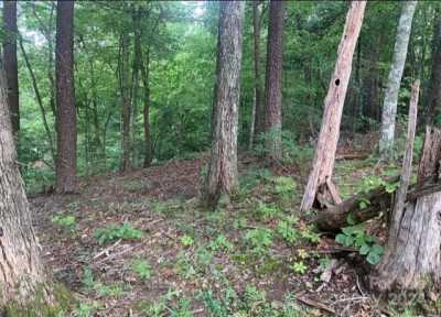 Residential Land For Sale in Lake Lure, North Carolina