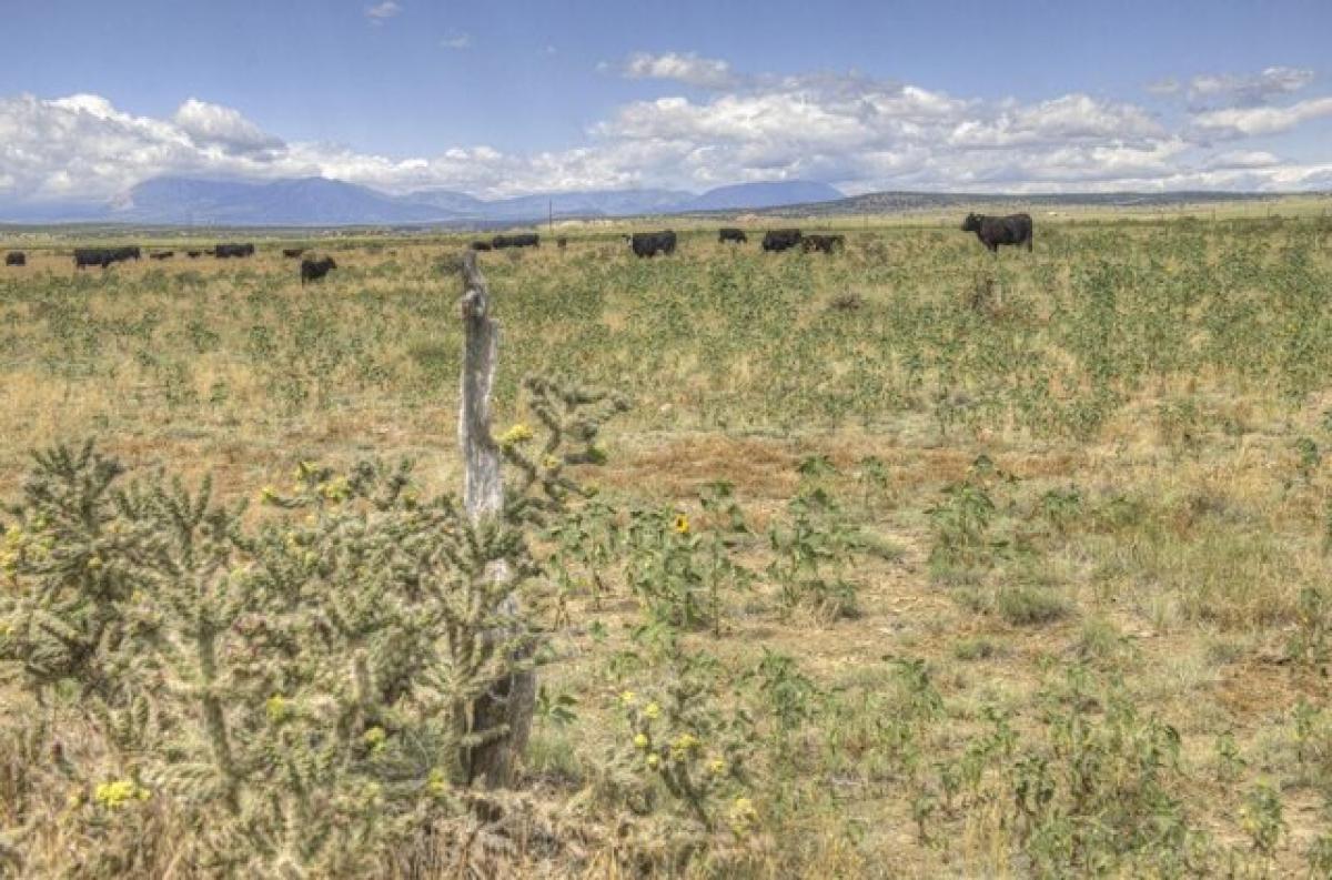 Picture of Residential Land For Sale in Walsenburg, Colorado, United States