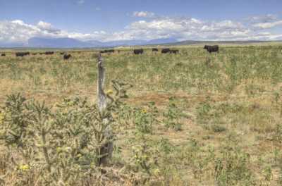 Residential Land For Sale in Walsenburg, Colorado