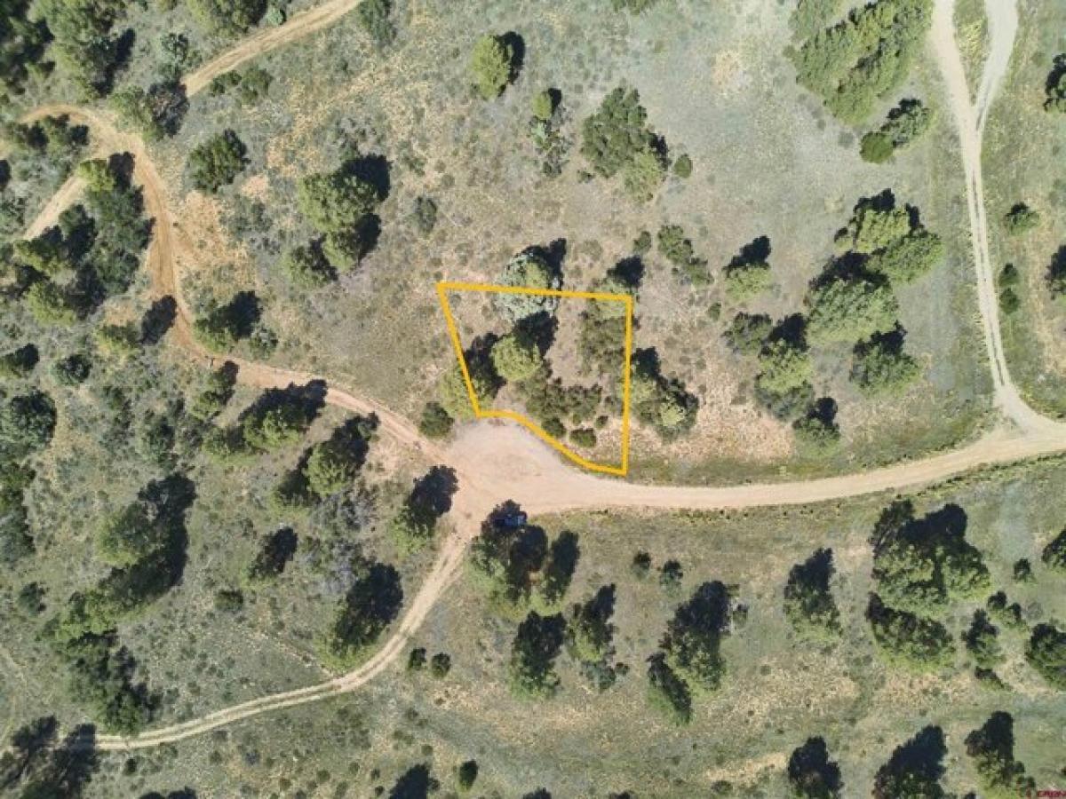 Picture of Residential Land For Sale in Pagosa Springs, Colorado, United States