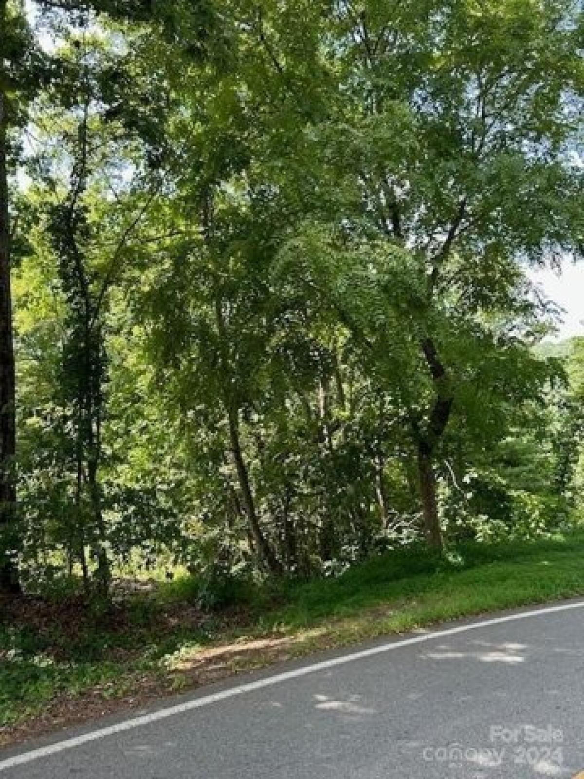 Picture of Residential Land For Sale in Asheville, North Carolina, United States