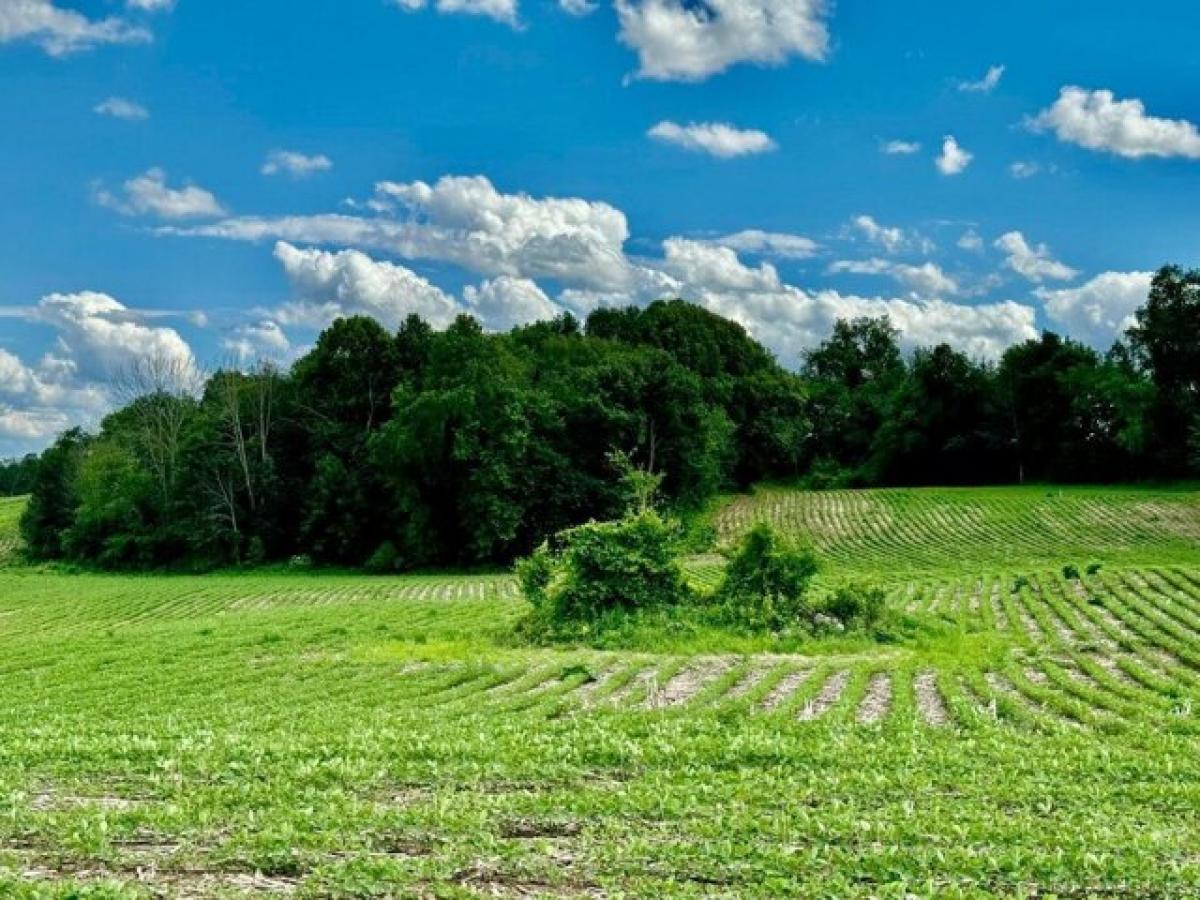 Picture of Residential Land For Sale in Campbellsport, Wisconsin, United States