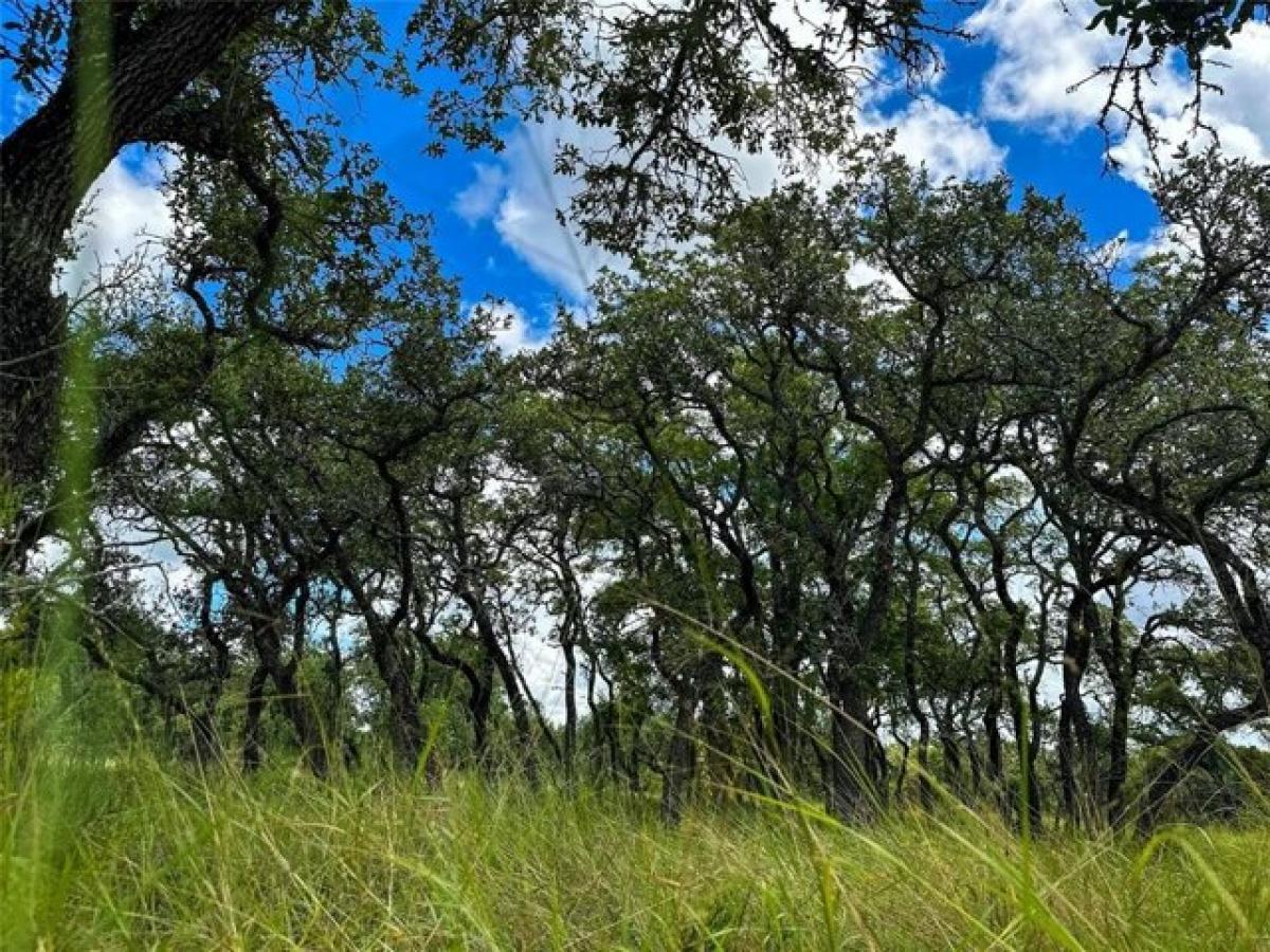 Picture of Residential Land For Sale in Wimberley, Texas, United States