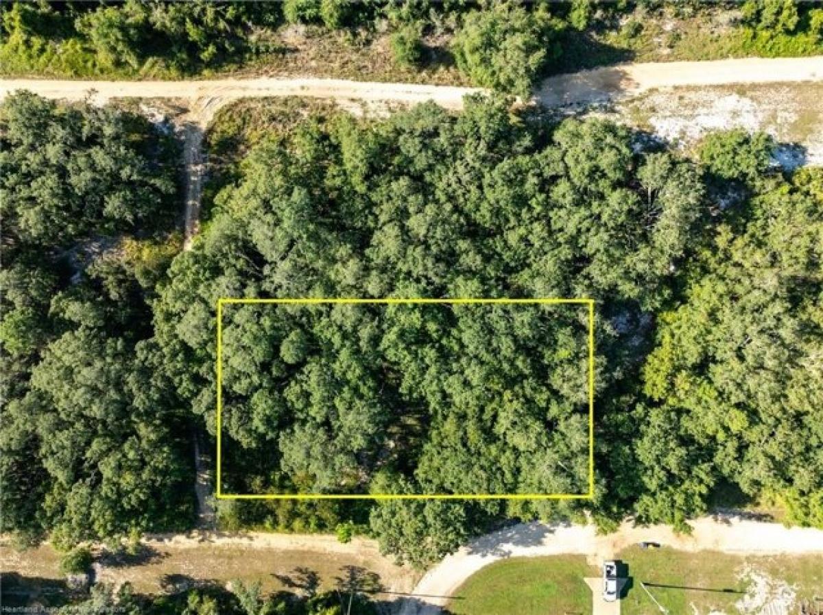 Picture of Residential Land For Sale in Avon Park, Florida, United States