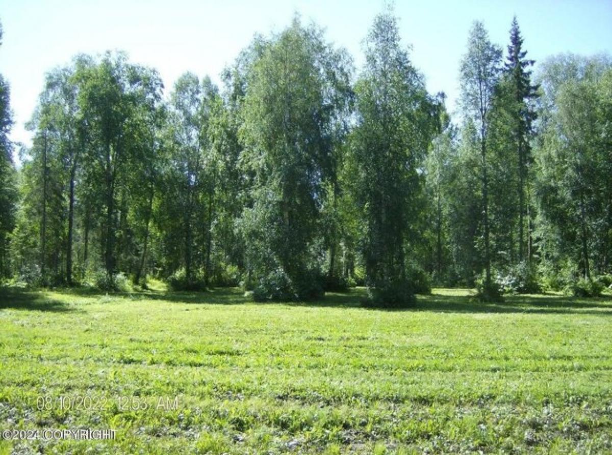 Picture of Residential Land For Sale in Talkeetna, Alaska, United States