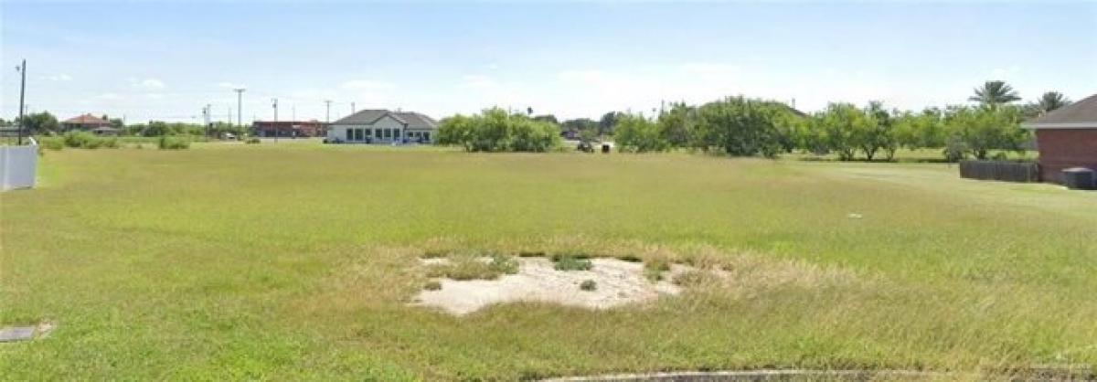 Picture of Residential Land For Sale in Elsa, Texas, United States