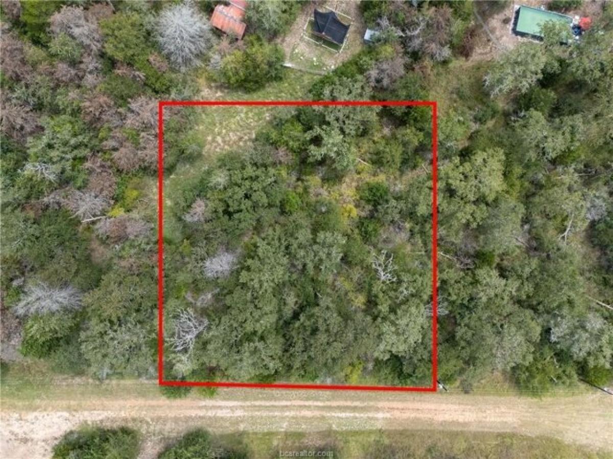 Picture of Residential Land For Sale in Somerville, Texas, United States