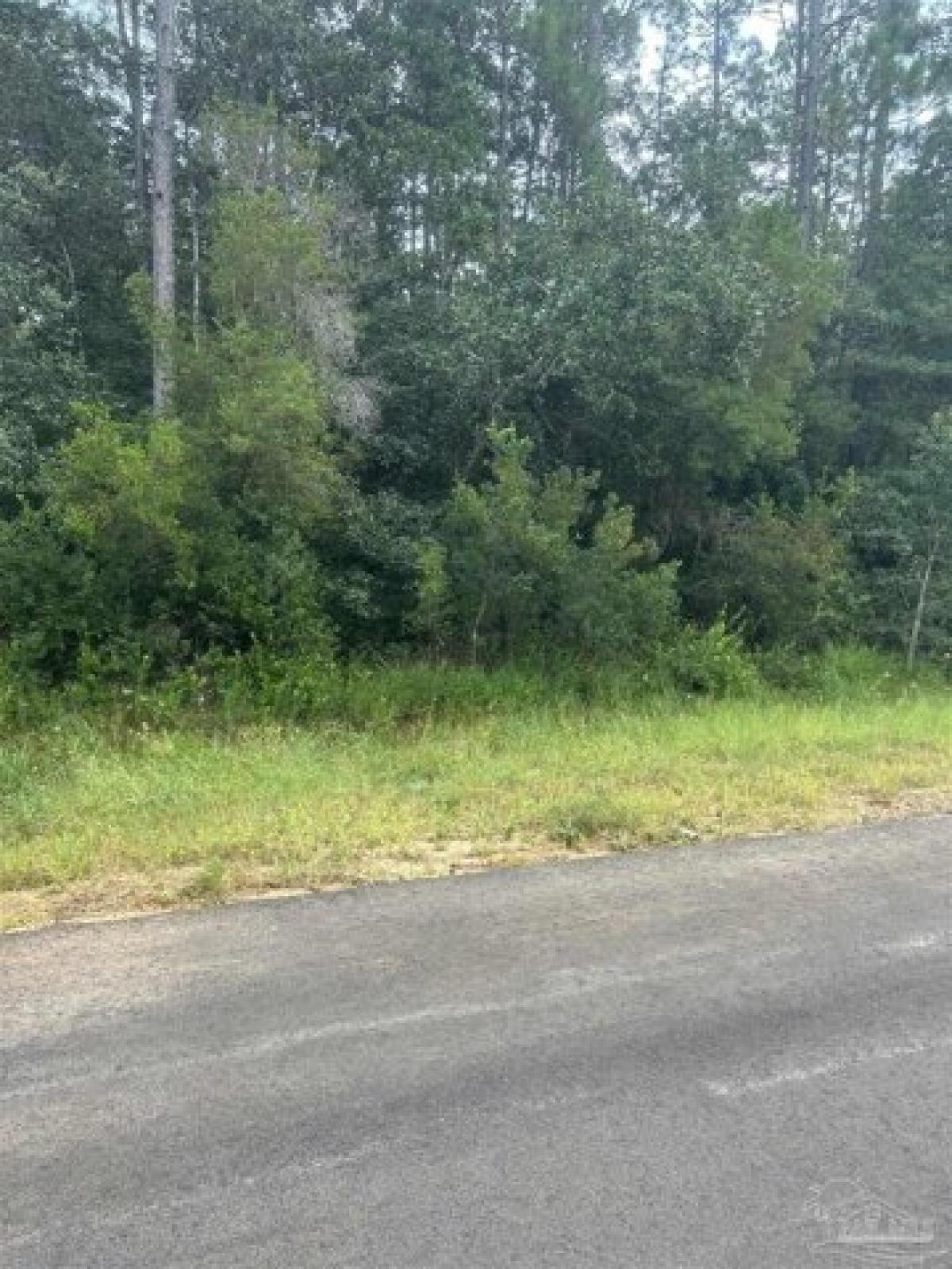 Picture of Residential Land For Sale in Navarre, Florida, United States