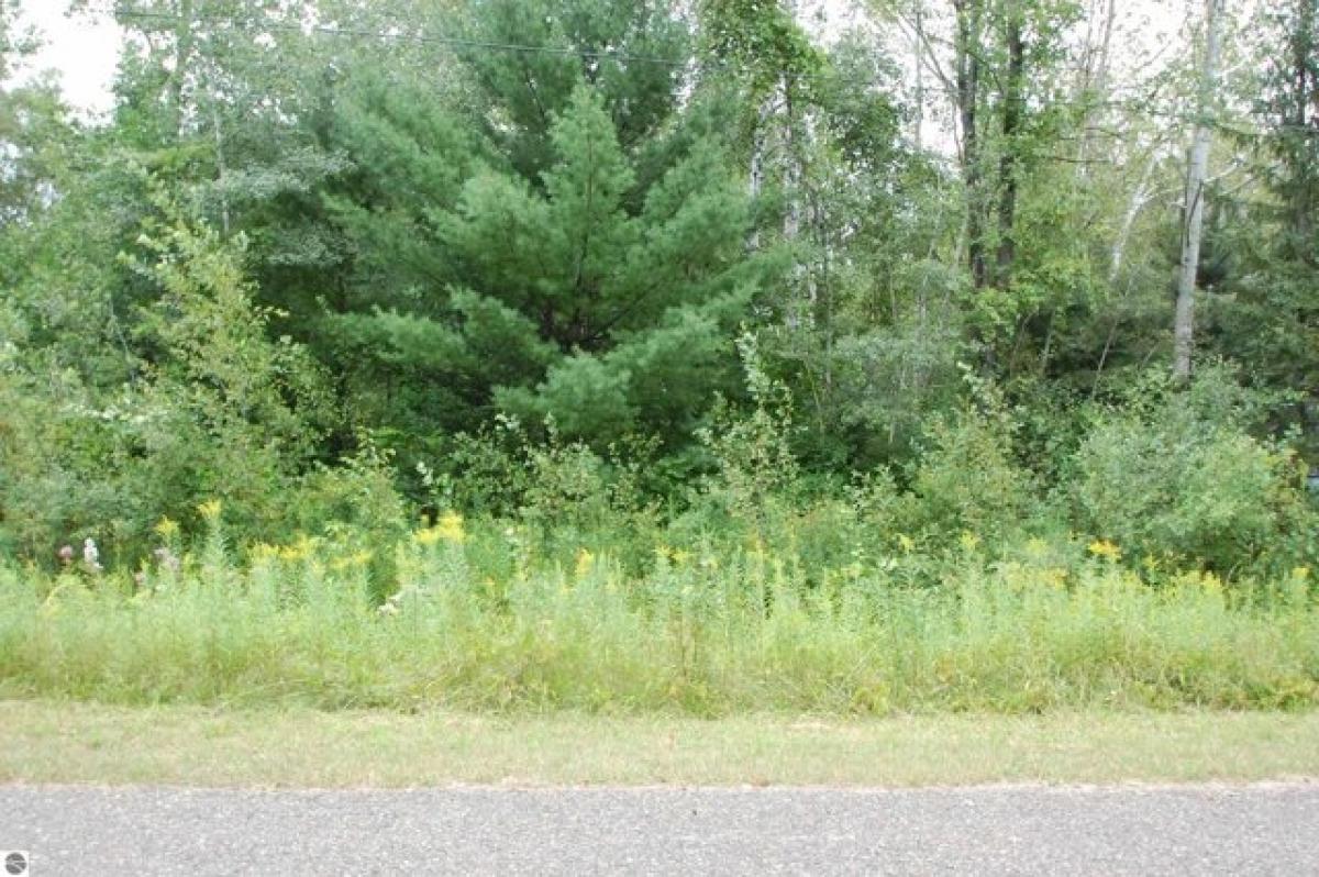 Picture of Residential Land For Sale in West Branch, Michigan, United States