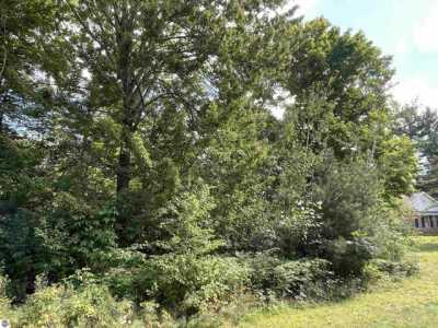 Residential Land For Sale in Cadillac, Michigan