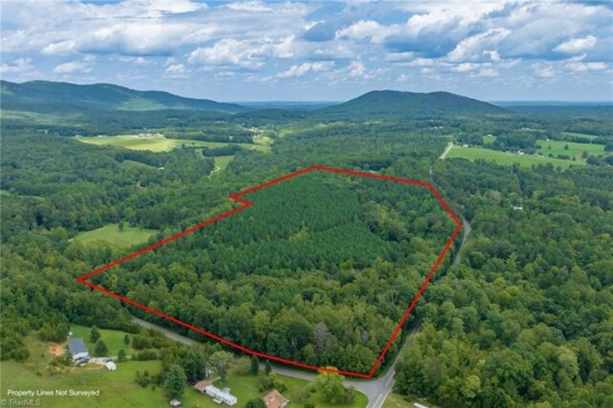 Picture of Residential Land For Sale in Germanton, North Carolina, United States