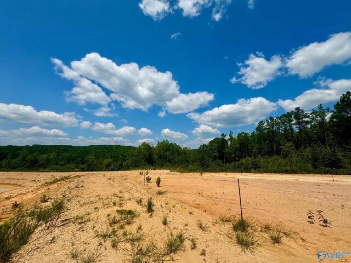 Picture of Residential Land For Sale in Sulligent, Alabama, United States