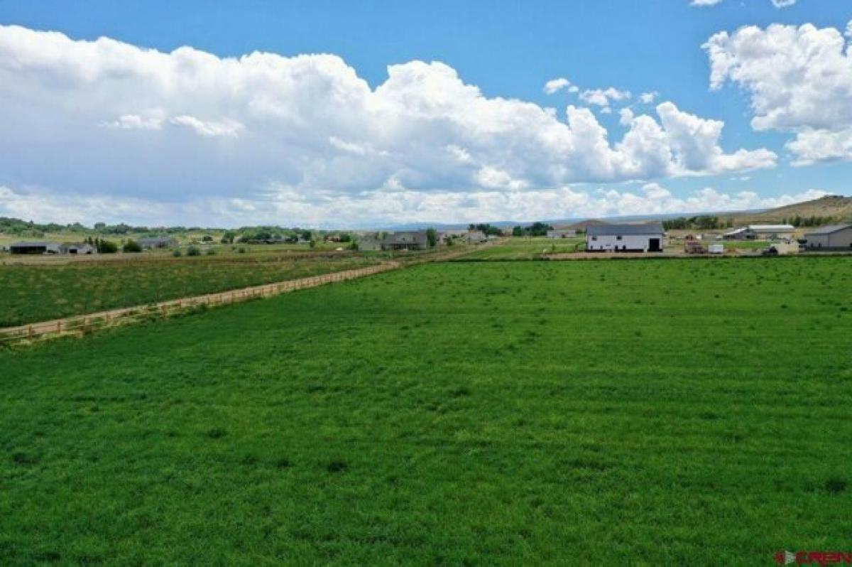 Picture of Residential Land For Sale in Montrose, Colorado, United States