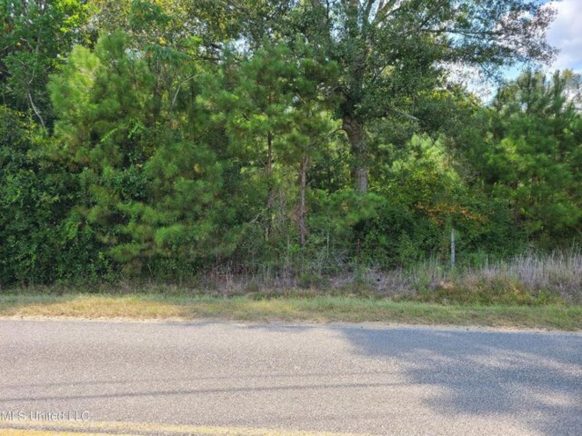 Picture of Residential Land For Sale in Carriere, Mississippi, United States