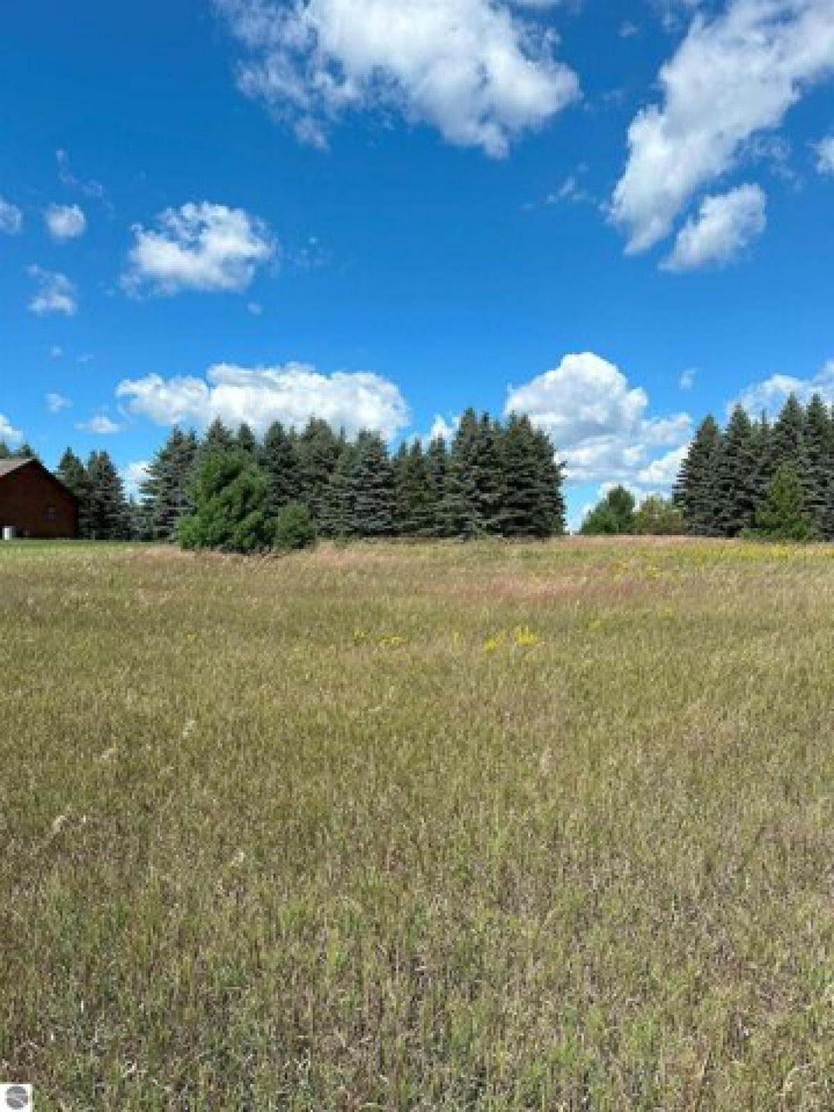 Picture of Residential Land For Sale in Kalkaska, Michigan, United States