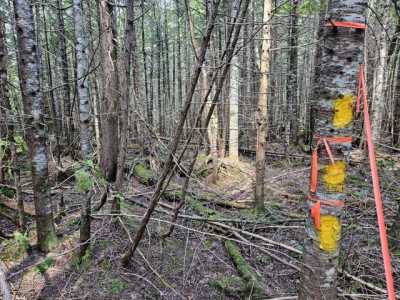 Residential Land For Sale in Monson, Maine