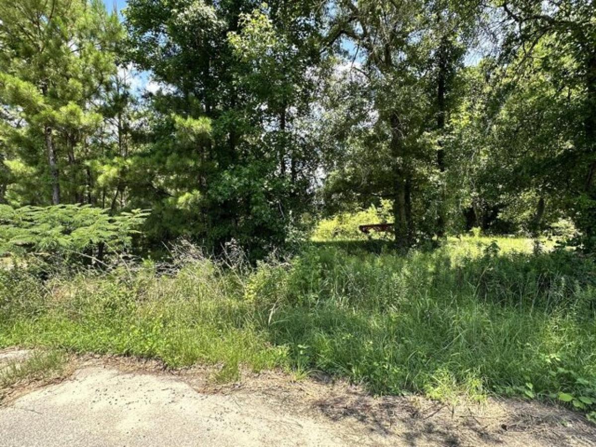 Picture of Residential Land For Sale in Andrews, South Carolina, United States