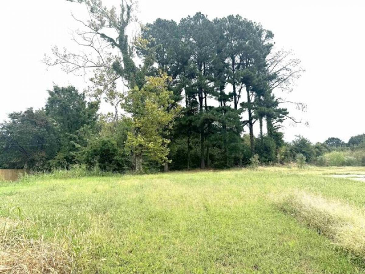 Picture of Residential Land For Sale in Wynne, Arkansas, United States